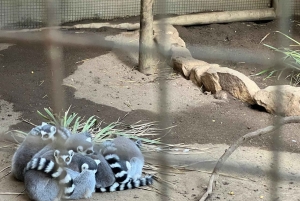 Two Oceans Aquarium World Birds & Wine Tasting Wycieczka prywatna