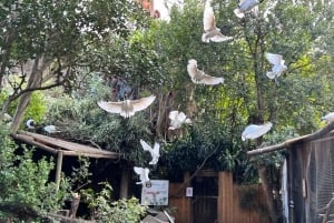 Two Oceans Aquarium World Birds & Wine Tasting Wycieczka prywatna