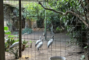 Two Oceans Aquarium World Birds & Wine Tasting Wycieczka prywatna