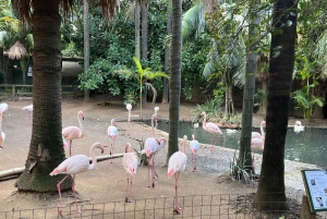 Two Oceans Aquarium World Birds & Wine Tasting Wycieczka prywatna