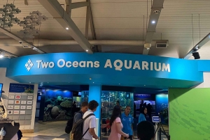 Two Oceans Aquarium World Birds & Wine Tasting Wycieczka prywatna