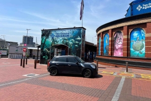 Two Oceans Aquarium World Birds & Wine Tasting Wycieczka prywatna