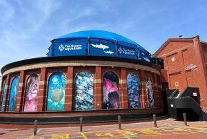 Two Oceans Aquarium World Birds & Wine Tasting Wycieczka prywatna