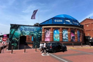 Two Oceans Aquarium World Birds & Wine Tasting Wycieczka prywatna