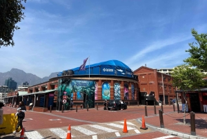 Two Oceans Aquarium World Birds & Wine Tasting Wycieczka prywatna