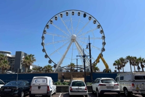 Two Oceans Aquarium World Birds & Wine Tasting Wycieczka prywatna