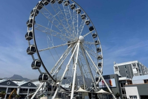 Two Oceans Aquarium World Birds & Wine Tasting Wycieczka prywatna