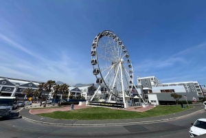 Two Oceans Aquarium World Birds & Wine Tasting Wycieczka prywatna