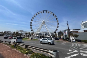 Two Oceans Aquarium World Birds & Wine Tasting Wycieczka prywatna