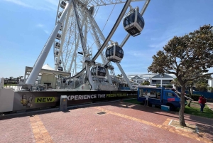 Two Oceans Aquarium World Birds & Wine Tasting Wycieczka prywatna