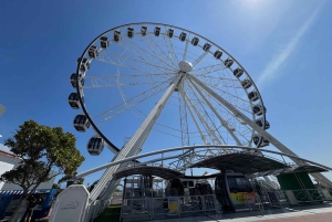 Two Oceans Aquarium World Birds & Wine Tasting Wycieczka prywatna