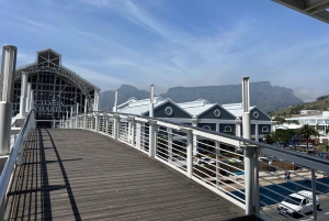 Two Oceans Aquarium World Birds & Wine Tasting Wycieczka prywatna