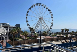 Two Oceans Aquarium World Birds & Wine Tasting Wycieczka prywatna