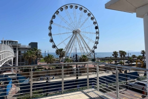 Two Oceans Aquarium World Birds & Wine Tasting Wycieczka prywatna