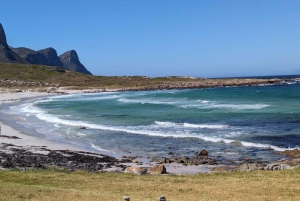 Découvrez les secrets de Cape Point : Visite audio intégrée à l'application