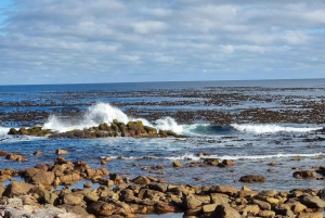 Odblokuj sekrety Cape Point: Wycieczka audio w aplikacji