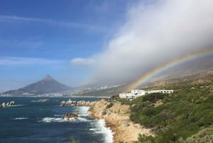 Desvende os segredos da Table Mountain: tour de áudio no aplicativo