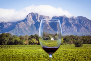 Vineyard Voyages: Cape Town to Stellenbosch