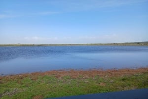 West Coast Escape — Quad Bikes, San Culture & Coastal Wilds