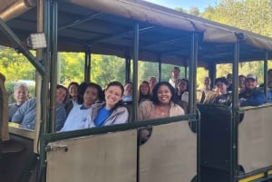 West Coast Escape — Quad Bikes, San Culture & Coastal Wilds