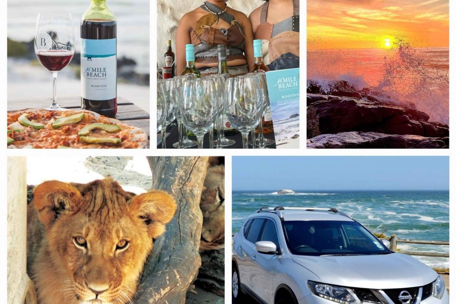 Westcoast day outing with game drive, and wine tasting