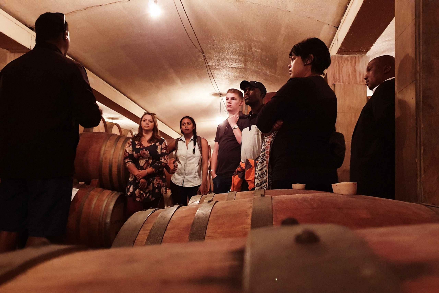 Western Cape: Winelands Tasting and Cellar Tour with Guide
