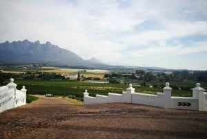 Western Cape: degustação de vinícolas e excursão à adega com guia