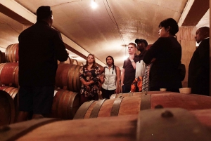 Western Cape: Winelands Tasting and Cellar Tour z przewodnikiem