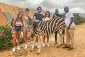 Safari med dyreliv