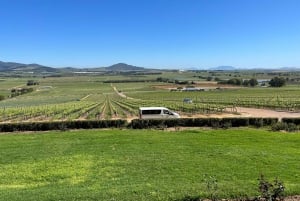 Wijnproeverij in FranschHoek, Stellenbosch & Paarl Tour