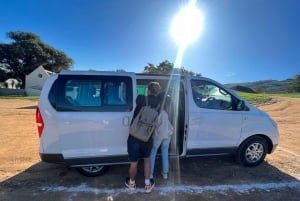 Wijnproeverij in FranschHoek, Stellenbosch & Paarl Tour