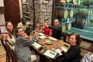 Tur med vinsmaking i FranschHoek, StellenBosch og Paarl