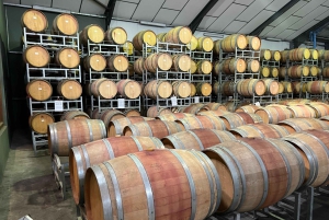 Tur med vinsmaking i FranschHoek, StellenBosch og Paarl