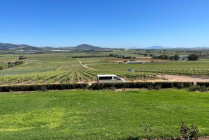 Tur med vinsmaking i FranschHoek, StellenBosch og Paarl
