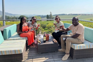 Tur med vinsmaking i FranschHoek, StellenBosch og Paarl