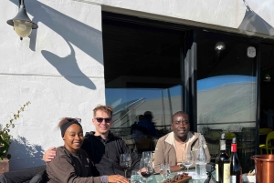 Tur med vinsmaking i FranschHoek, StellenBosch og Paarl