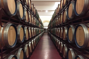 Tur med vinsmaking i FranschHoek, StellenBosch og Paarl