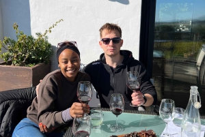 Tur med vinsmaking i FranschHoek, StellenBosch og Paarl