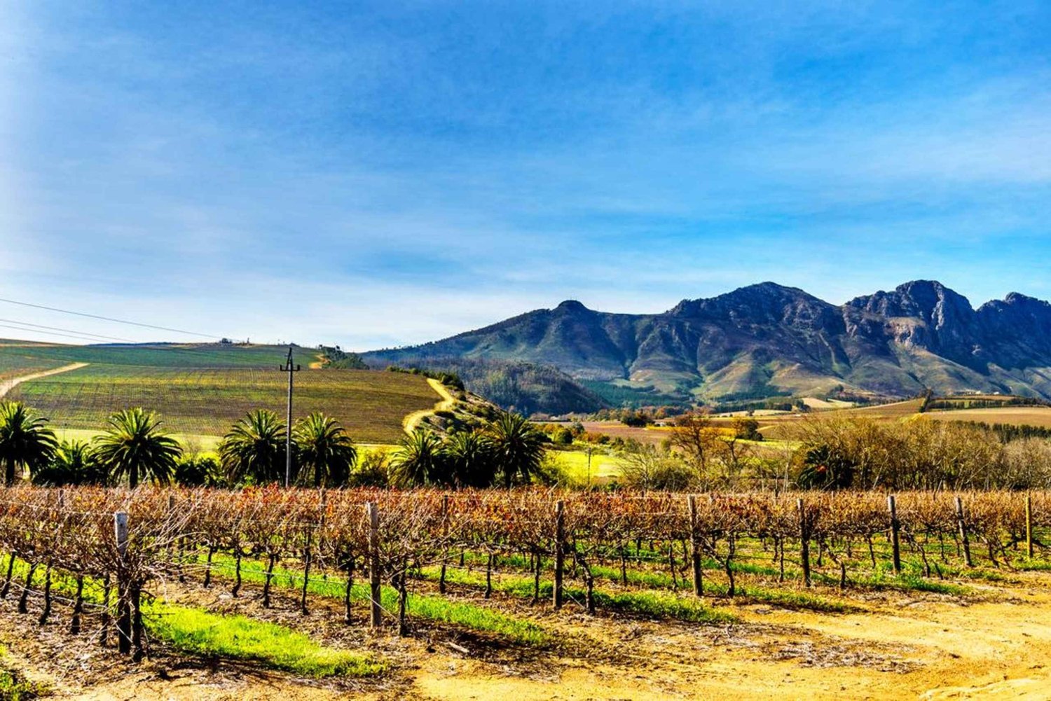 Le meraviglie delle Winelands: un viaggio speciale a Città del Capo
