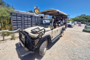 Yzerfontein: Safári na Reserva Privada de Caça da Costa Oeste