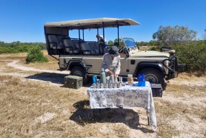 Yzerfontein: Safári na Reserva Privada de Caça da Costa Oeste