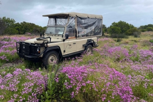 Yzerfontein: Safári na Reserva Privada de Caça da Costa Oeste
