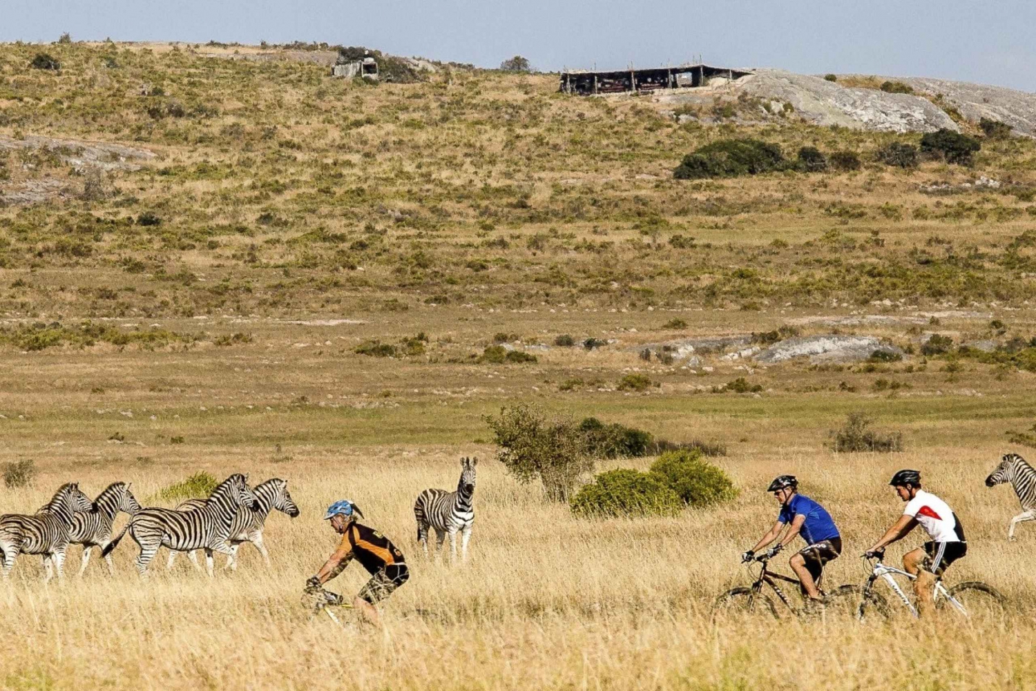 Yzerfontein: San Heritage Centre Fahrradtour & Spaziergang mit Mittagessen