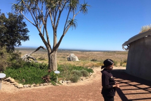 Yzerfontein: Wycieczka rowerowa po Centrum Dziedzictwa San i spacer z lunchem
