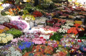 Adderley Street Flower Sellers Market