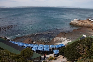 Hermanus