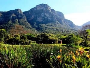 Kirstenbosch Botanical Gardens