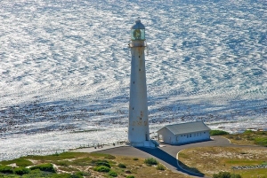 One of the Cape's many lighthouses © Jovan Djokic
