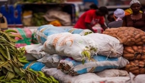 Catchupa ingredients