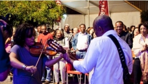 Dolphins by Linda Aspden